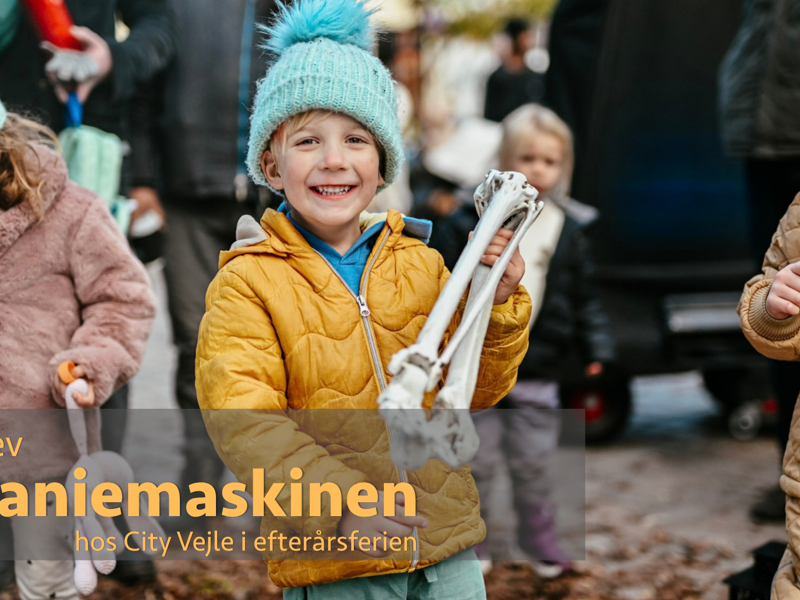 Kraniemaskinen